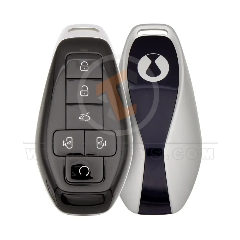 Original byd denza d9 smart remote key 6 buttons 4 buttons