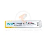 raise carbide end mill cutter 2 5xd60x40 ew6825 front 1