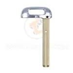 81996 F6100 blank key tl26262 2