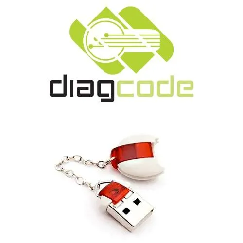 Diagcode Software HYUNDAI and KIA Calculation