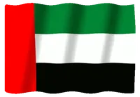 UAE flag